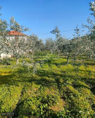 KONAKLI ADAGÜME'DE SATILIK ARSA