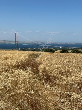  sahibinden satılık buğdağ tarlası