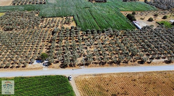 Torbalı Eğerci de Tek Tapu, Yatırımlık 500 M2 Satılık Arazi