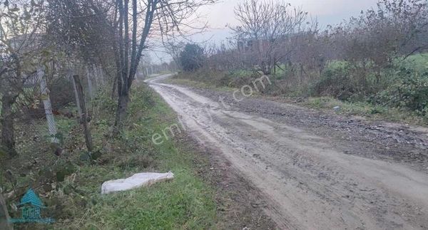 SAKARYA SERDİVAN DAĞYONCALI MAH SATILIK TARLA