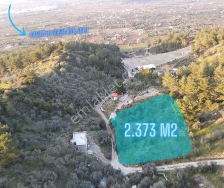  ARMUTLU'DA 2400 M2 ZEYTİNLİK