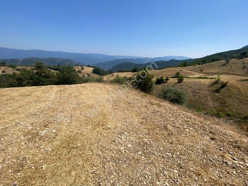  BOLU MUDURNU'DA YERLEŞİM YERİNE YAKIN 10 DÖNÜMLÜK SATILIK ARSA!!!