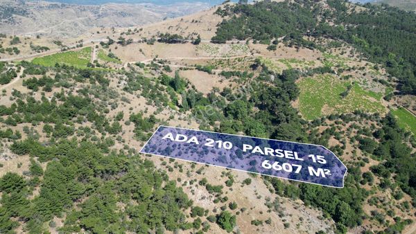  Menderes Efemçukuru'nda 6607 m2 Müstakil Tapulu Satılık Arazi