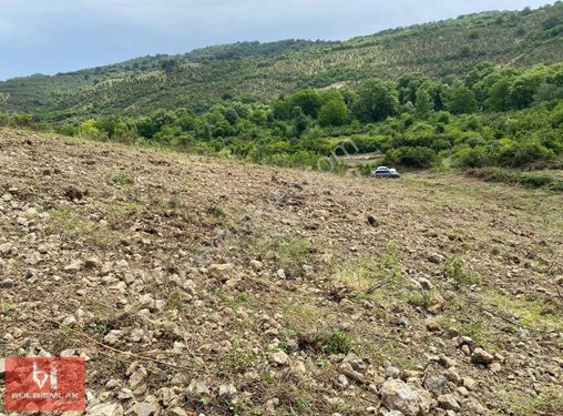 ŞİLE GÖKSUDA SATILIK YOL SORUNU OLMAYAN MUHTEŞEM TARLA