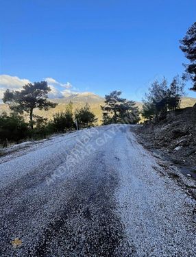 Akdamar'dan Kaş Çamlıköy'de Satılık Yan Yana 3 Parsel