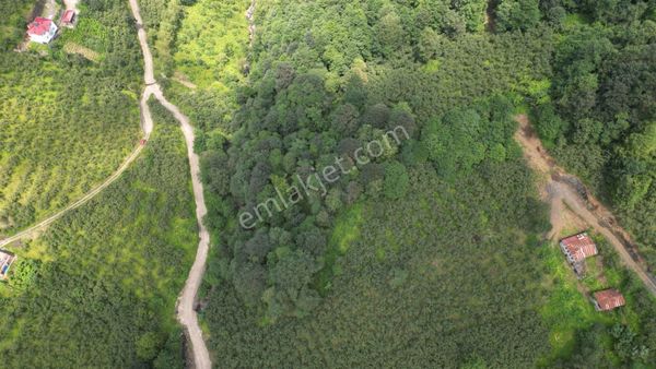  ÇAĞ GAYRİMENKUL ' DEN TRABZON VAKFİKEBİR ' DE SATILIK ARAZİ