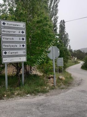  Çameli Cumaalanı Yukarı Yılancık 823 m2 Yol Su Elektrik Var