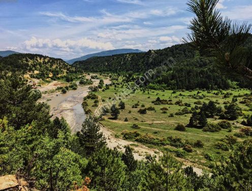  KASTAMONU/ARAÇ'TA DOĞA MANZARALI, DOĞALGAZLI, MERKEZDE İMARLI ARSA