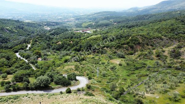  İzmir Menemen Görece 23 Dönüm Kadastral Yola Cepheli Elektrik direği olan Tek Tapu Satılık Tarla