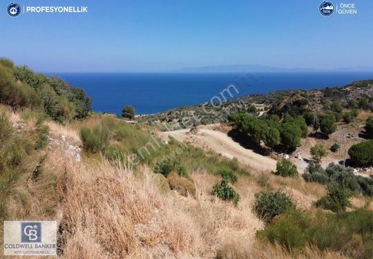 Karaburun Hasseki'de Full Deniz Manzaralı İmarlı Arsalar