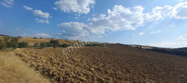 KÜTAHYA GEDİZ GELİŞİME AÇIK BÖLGEDE 3.955m2 EĞİMSİZ SATILIK ARSA