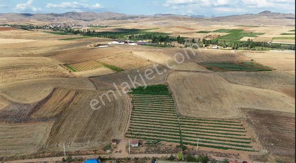  Toprak Yatırımcısı'dan Çıkrıkta 3200m² Yatırımlık Tarla