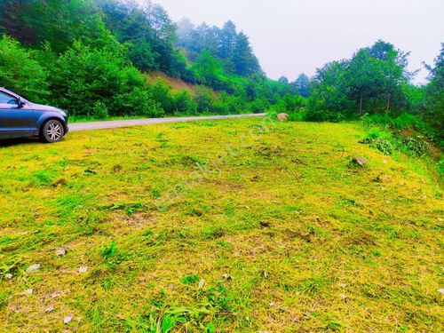  TRABZON ÇAYKARADA SATILIK TURISM İMARLI ARSA