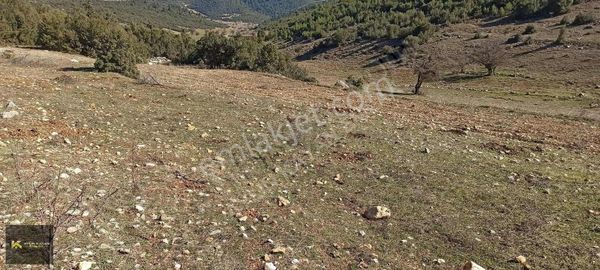 BURDUR BUCAK TAŞYAYLA'DA 4 DÖNÜM TEK TAPU YATIRIM FIRSATI