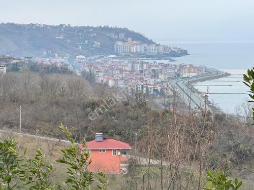  TRABZON SÜRMENE ZEYTİNLİ'DE MÜSTAKİL EV VE ARSA SATILIK