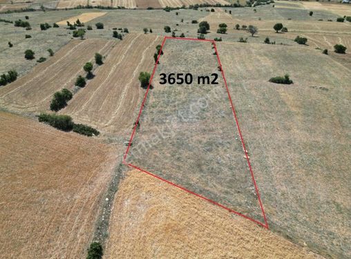 Korkuteli Yeltende 3650 m2 Tarla Manzaralı