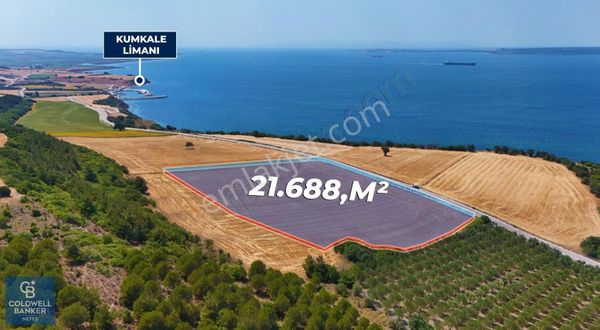 Halileli Köyünde Denize 300m Yola Cephe 21.688 m² Satık Tarla !