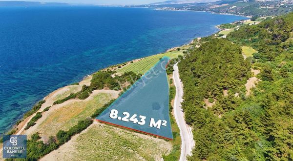 Çanakkale İntepede Denize 150m 8.243 M² Yola Cephe Satılık Tarla