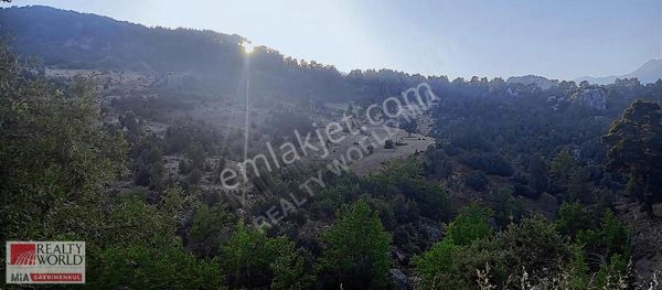 ANTALYA KONYAALTI YARBAŞÇANDIR'DA 2 982 M2 SATILIK TARLA