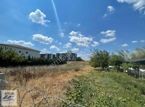 SİLİVRİ SELİMPAŞA EMLAKKONUT YANI 950 M2 İMARLI ARSA