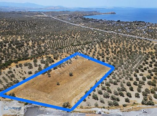 ALİAĞA ŞAKRANDA 13850 M2 SATILIK TARLA