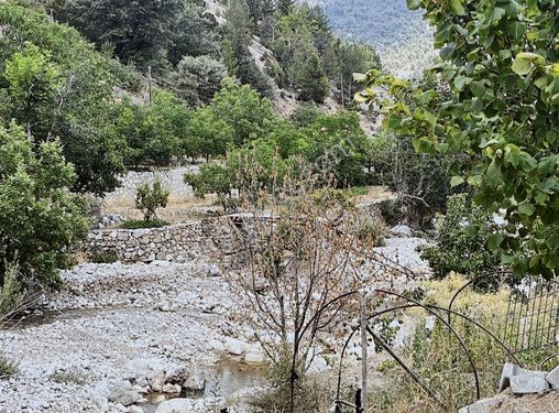 ÇAYARASI YAYLASINDA YOLA SIFIR SATILIK BAHÇE