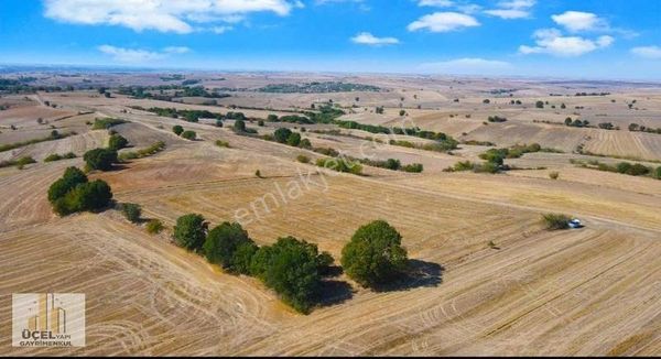 PEHLİVANKÖY TİLKİPINAR MAHALLESİNDE YOLA CEPHE 11.000 M2 TARLA