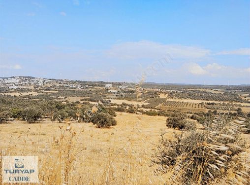 ÇANAKKALE MERKEZ İNTEPEDE GELECEĞE YATIRIM