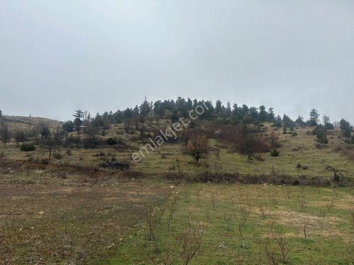  BOLKAR'DAN TOROSLAR'IN GÖZDESİ ARSLANKÖY'DE SATILIK BAHÇE