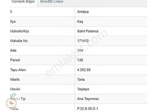 KAŞ SAHİL PALAMUT MAHALLESİNDE SATILIK TARLA