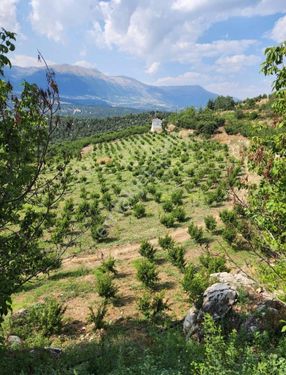 MERSİN TOROSLAR KAVAKLIPINAR MAH.'DE SATILIK ŞEFTALİ BAHÇESİ