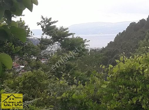 MUDANYA AYDINPINAR DA DENİZ MANZARALI BAHÇE TAPULU SATILIK ARAZİ