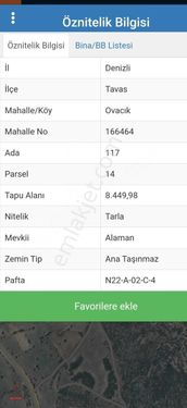 DENİZLİ TAVAS OVACIK SATILIK CEVİZ TARLASI