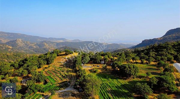 İZMİR YAMANLARDA 27.799M2 ENFES DOĞA VE DENİZ MANZARALI ARAZİ