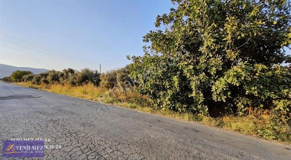 ÖDEMİŞ KAYAKÖY MAHALLESİ SATILIK ASFALT YOL KENARI VERİMLİ TARLA