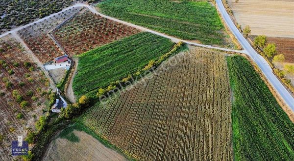 AKÇALAR'DA ANA YOLA CEPHE 10 DÖNÜM KİRALIK TARLA