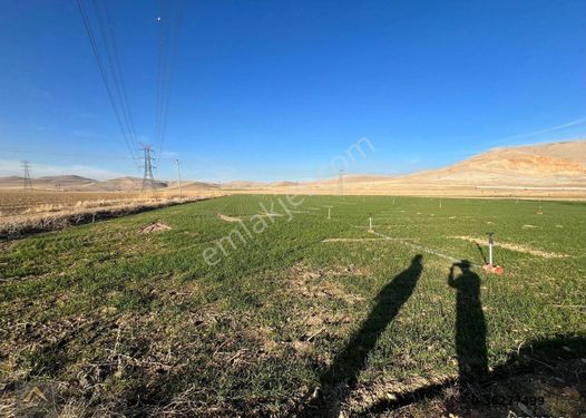 KONYA /SELÇUKLU SARICALAR MAHALLESİNDE SATILIK TARLA !!!