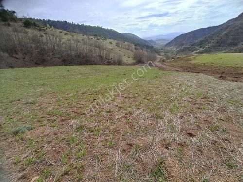 AMASYA MERKEZ AYDINLIK KÖYÜ SATILIK TARLA 3805 MK.