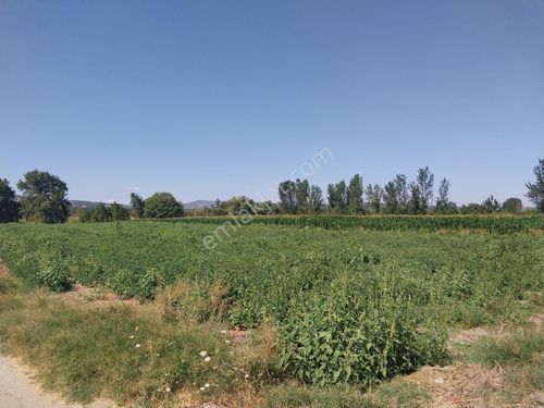 Balıkesir İvrindi Sakarya Mahallesi Köşe Kadastro Yolu Cepheli 20.000 M2 Yatırımlık Satılık Tarla.