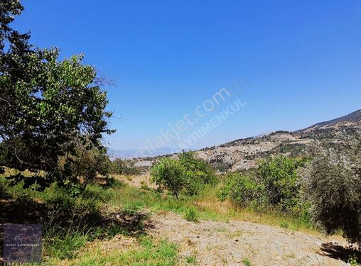 MERHABALAR AYAKLICAOLUKDA 13750M2,,DOĞAL SU, ELEKTRİK, YOL