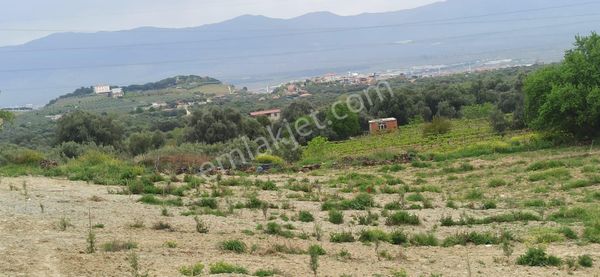  LİDYA GROUP'DAN ESEN TEPE MAHALLESİ'NDE ALAŞEHİR MANZARALI SATILIK ARSA