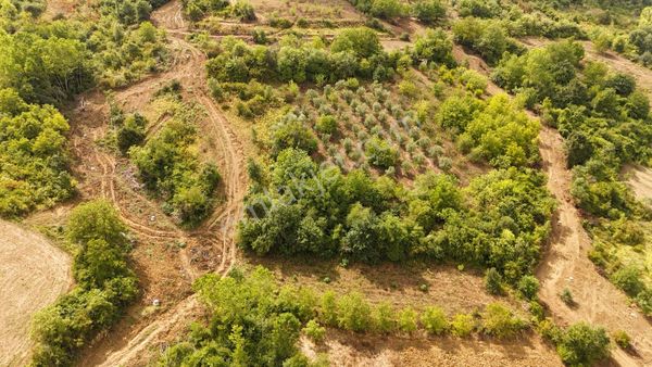  İZMİT SEKBANLI TOKİ YAKIN KONUM KONUT İMARLI 508m2 SATILIK ARSA