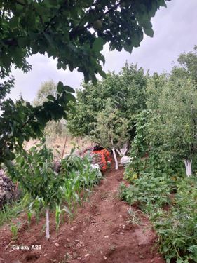 Muğla Seydikemer Yayla patlangıç ile içinde müstakil ev bulunan satılık parsel