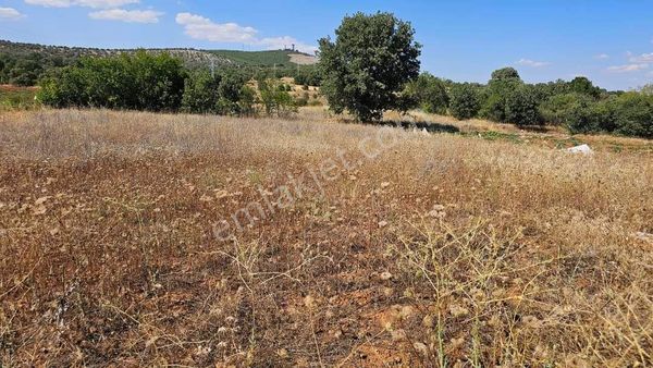 görece de her türlü çiftlik yapımına uygun satılık arazi