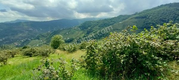 Akçaabat Oğulkaya Mahallesinde Satılık Arazi