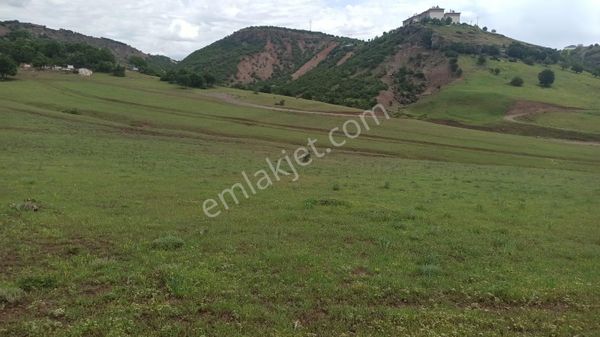  TUNCELİ MERKEZ İSMET İNÖNÜ MAH ALT YAPISI HAZIR ARSA