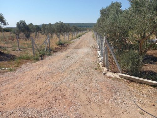 MENDERES  OGLANANASI  MAHALLESINDE SATILIK  BAHÇE 