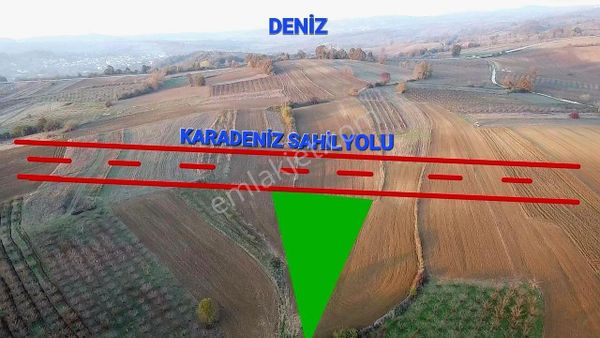 Kandıra Safali Mah.de 527 M2 Karadeniz Sahil Yoluna Cepheli D0ğa Harikası Bir Yer