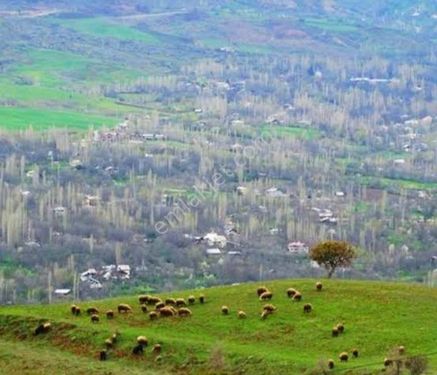  ŞEBİNKARAHİSAR MERKEZE YAKIN KONUMDA SATILIK ARSA