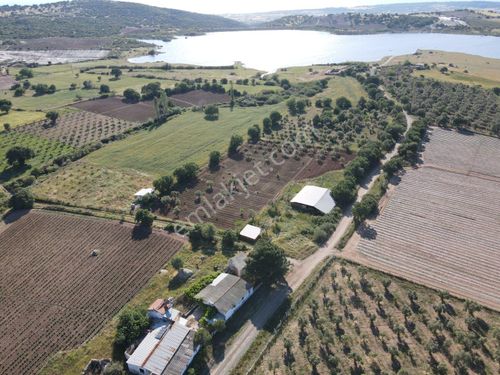 CANAKKALE EZİNE ULUKÖY DE ASVALT CEHSİLİ 6000 M2 TARLA SATILIK BAŞARAN EMLAK 